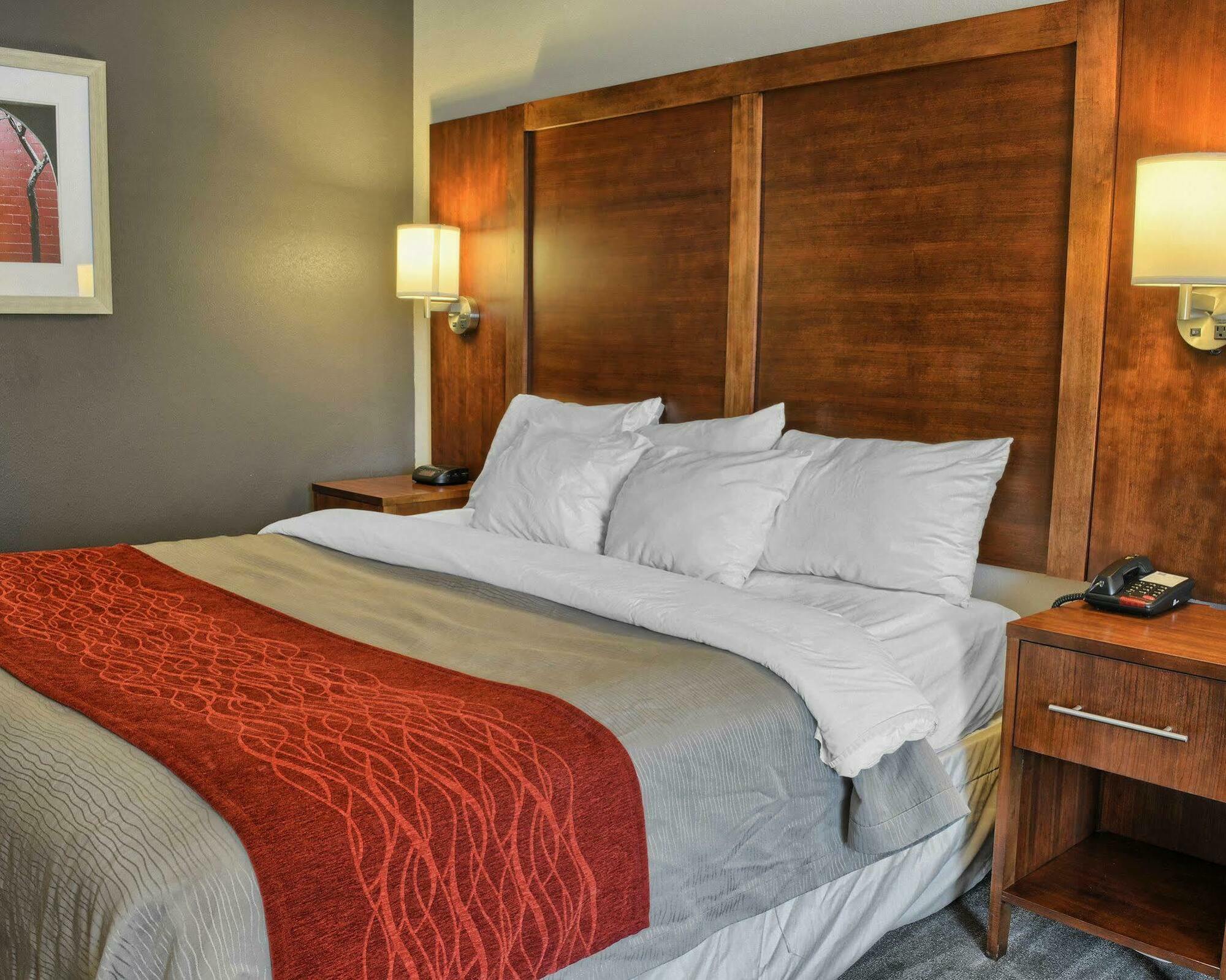 Comfort Inn Ruther Glen Near Kings Dominion Bagian luar foto